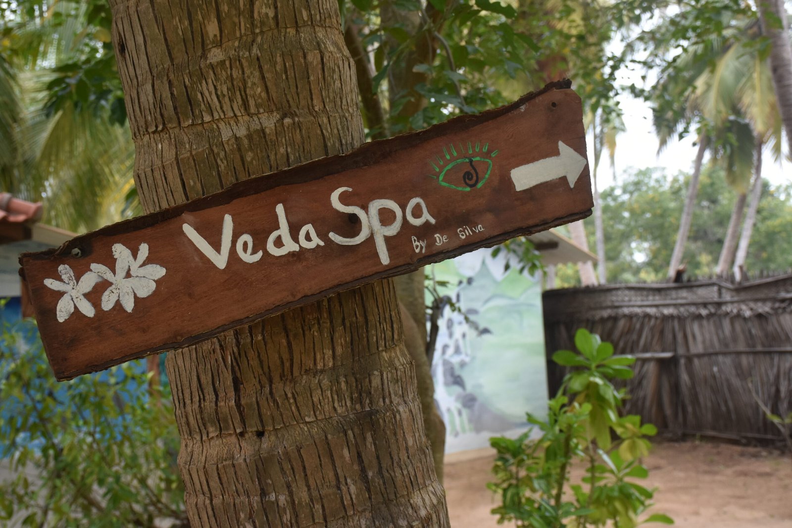 ATMOSPHERE OF RETREAT LIFE AT DE SILVA